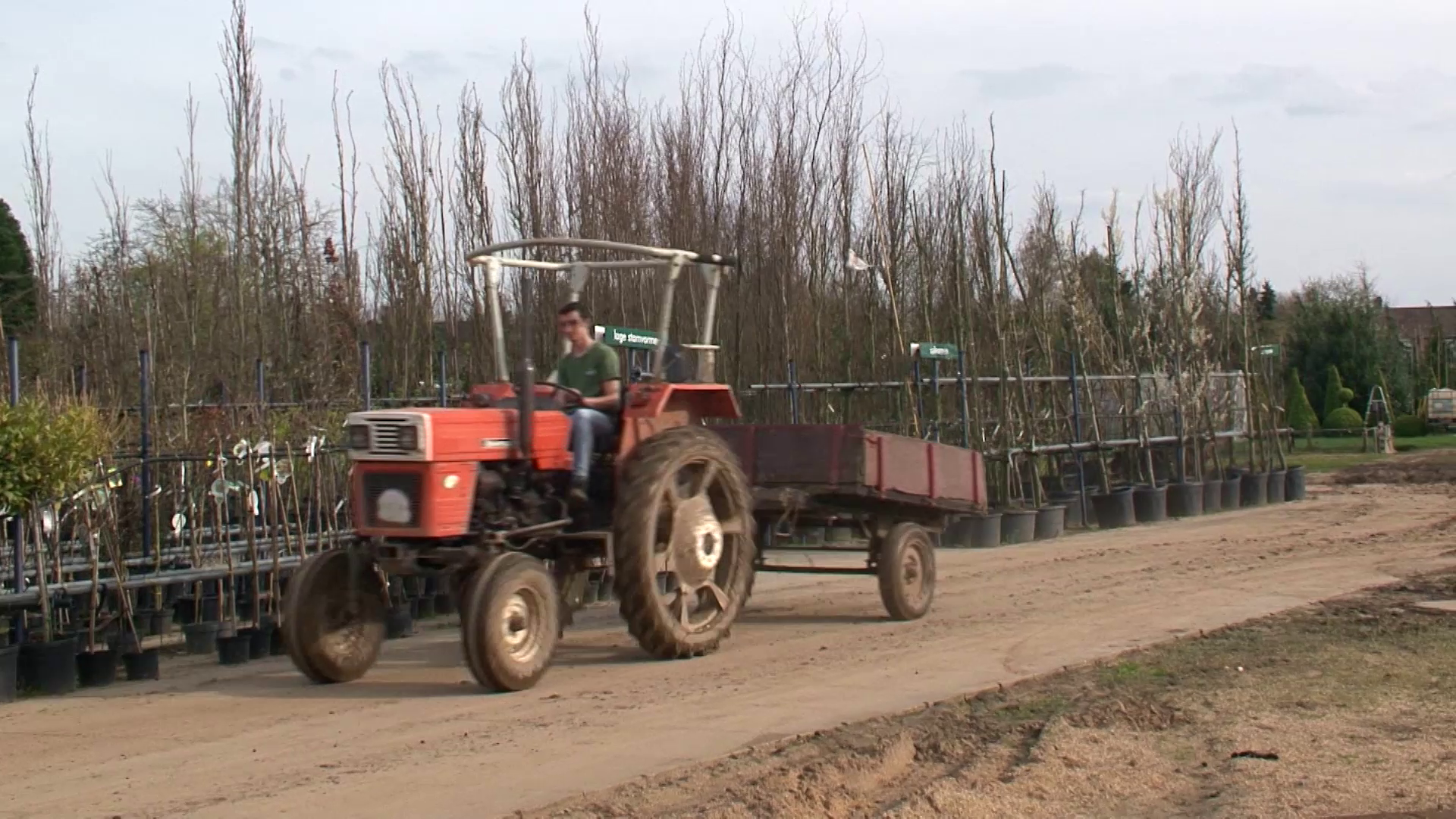 Goeie Zin Door De Lente