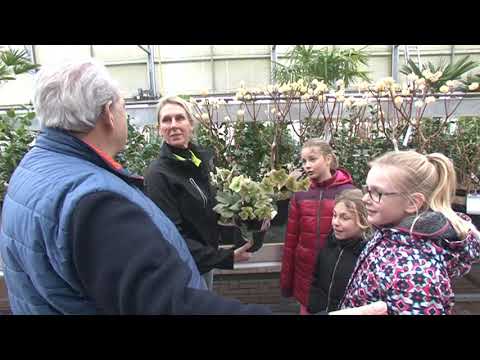 Je Ruikt Het Voorjaar