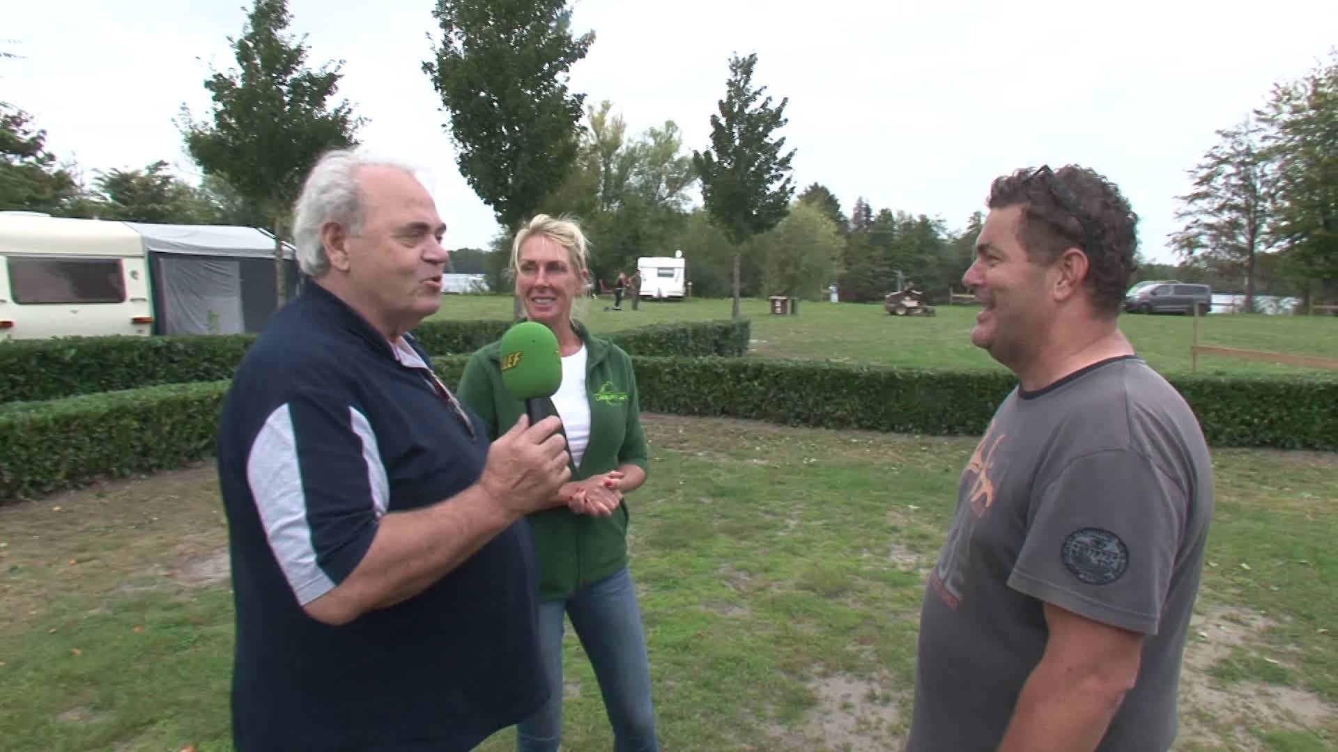 Rodendendrons Oud En Nieuw