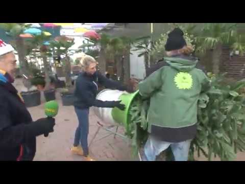 Kerstboom In Het Netje