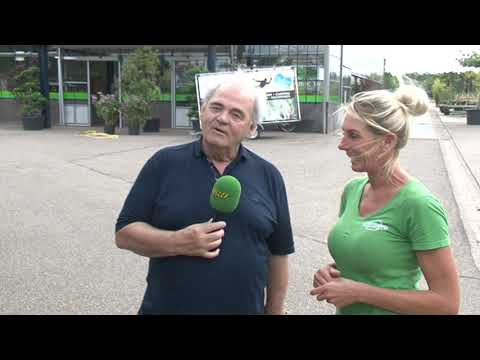 Een Tweede Bloei Door Zomersnoei