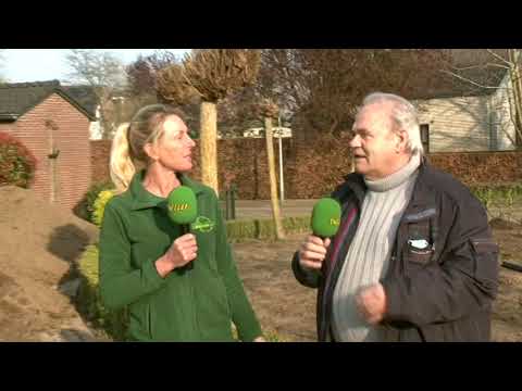 Groen Als Het Echte Gras